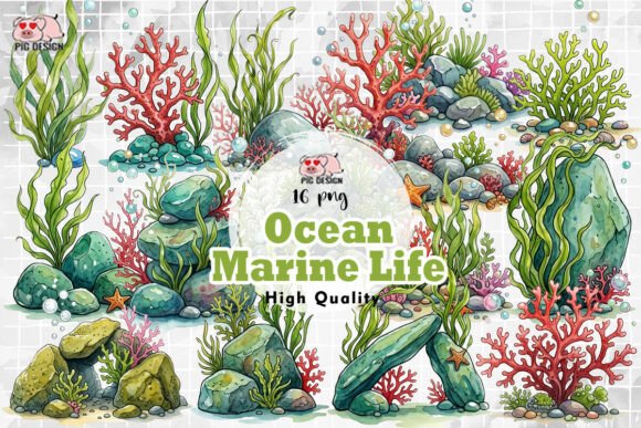 Download Ocean Marine Life PNG - Premium Resources