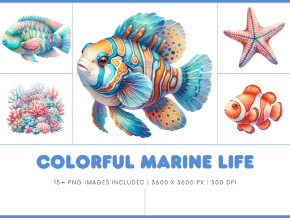 Download Colorful Marine Life Animals - Premium Resources