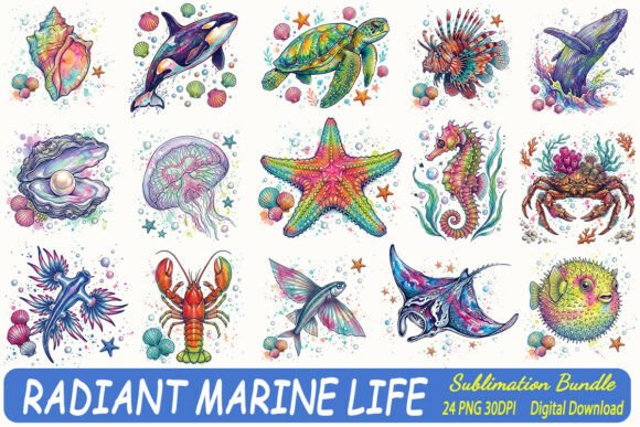 Download Radiant Marine Life Summer Sublimation - Premium Resources