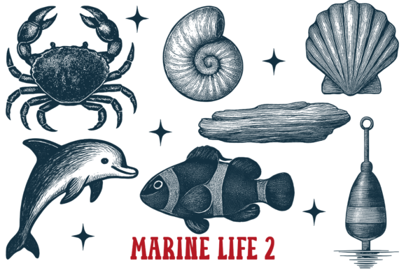 Download Marine Life 2 Vintage Ocean Animals Sea - Premium Resources
